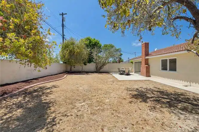 backyard with a dry lawn, white wall and trees in California.