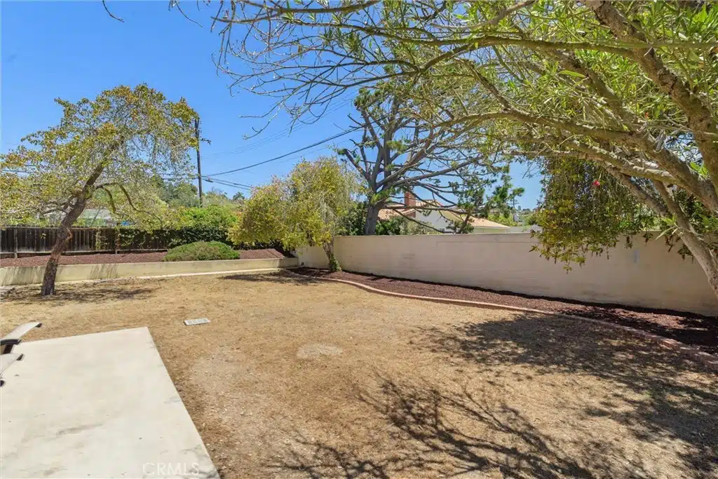 backyard with a dry lawn with a tall tree and bushes in California.
